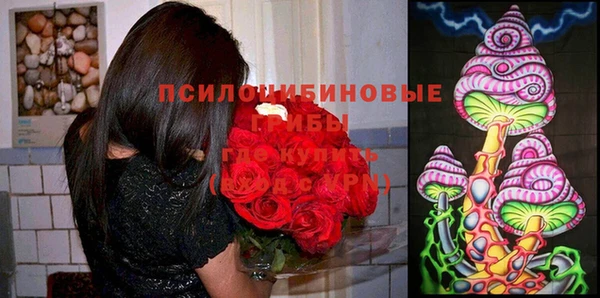 PSILOCYBIN Беломорск