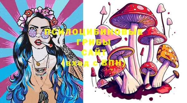 PSILOCYBIN Беломорск